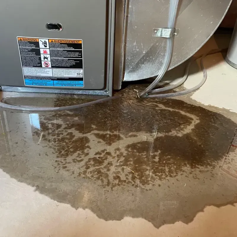 Appliance Leak Cleanup in Pelham, AL